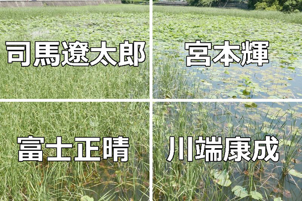 茨木-文学館-選択肢