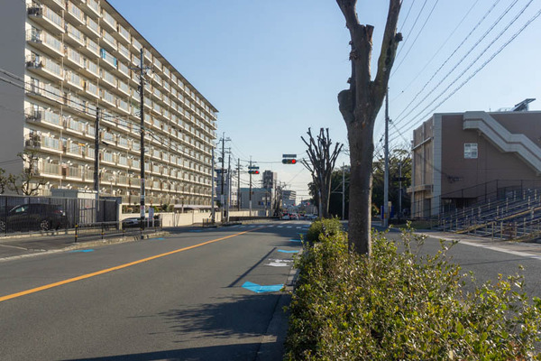 自転車レーン20220106150028