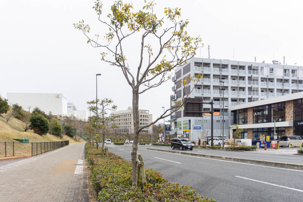 彩都20220118115809