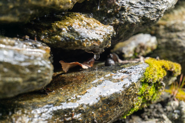 春日神社20220309131326