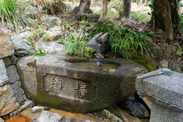 春日神社20220309131503