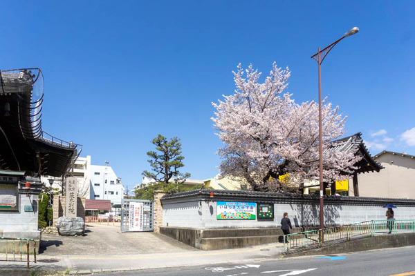 茨木別院20220404131046