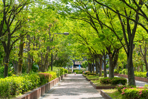 バラ園-21051310