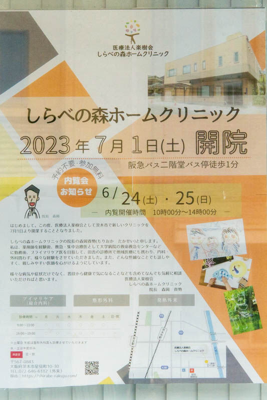 しらべの森20230615122433