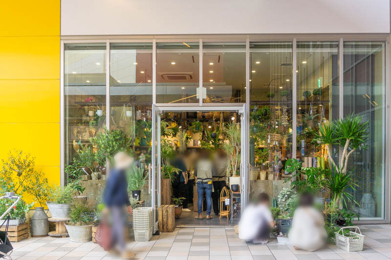 ららぽーとEXPOCITYにつくってたグリーン専門店「SOW the Farm