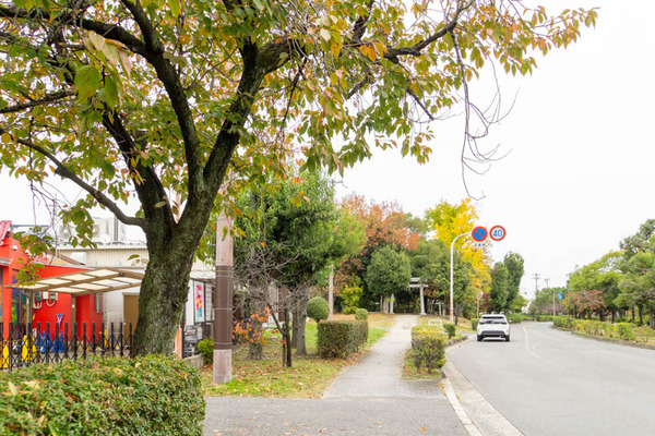 キス20221122142323