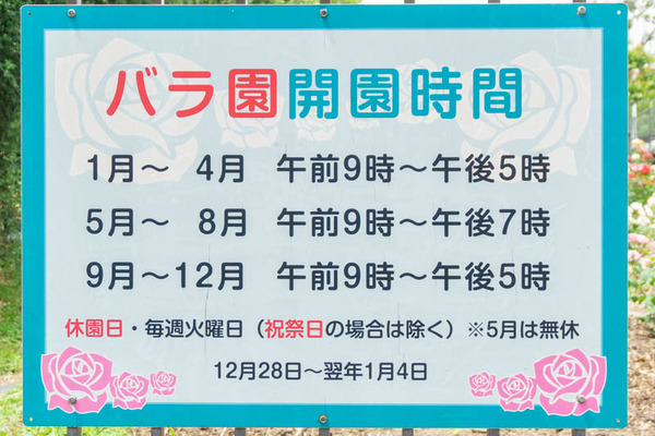 バラ20220510113358