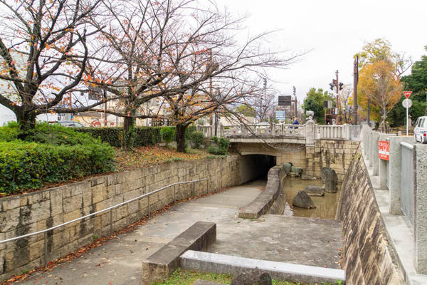 茨木川緑地リニューアル20221130150708