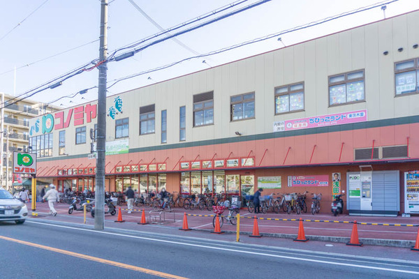 コノミヤ20211209134744