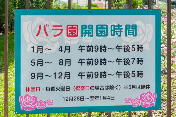 バラ園-2105132