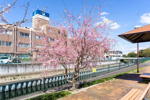 玉川20220404133551