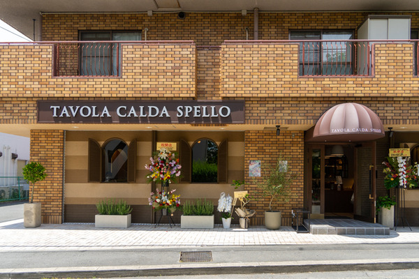 SPELLO-2106075