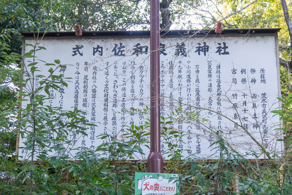 さわらぎ神社20220216150414