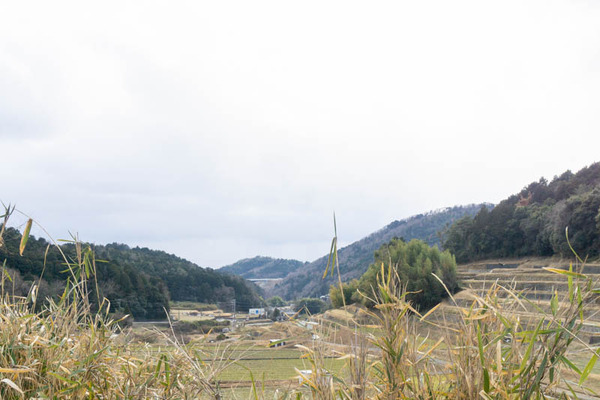 茨木20220223150552