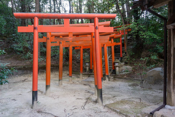 新見天照大神神社20220309163229