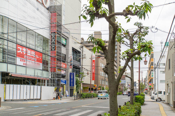 すぎ20221122140242