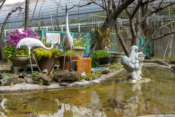 春日神社20220309131259