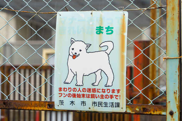 待ってる-2108192