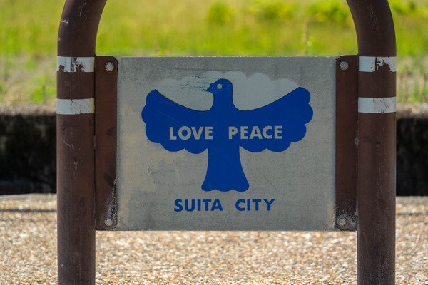 なんでも使える画像-24051430