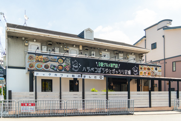 腹ペコ-2408223