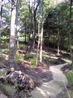 garden2