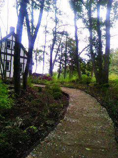 garden3