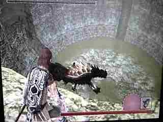 ワンダと巨像 攻略2 Level Hell