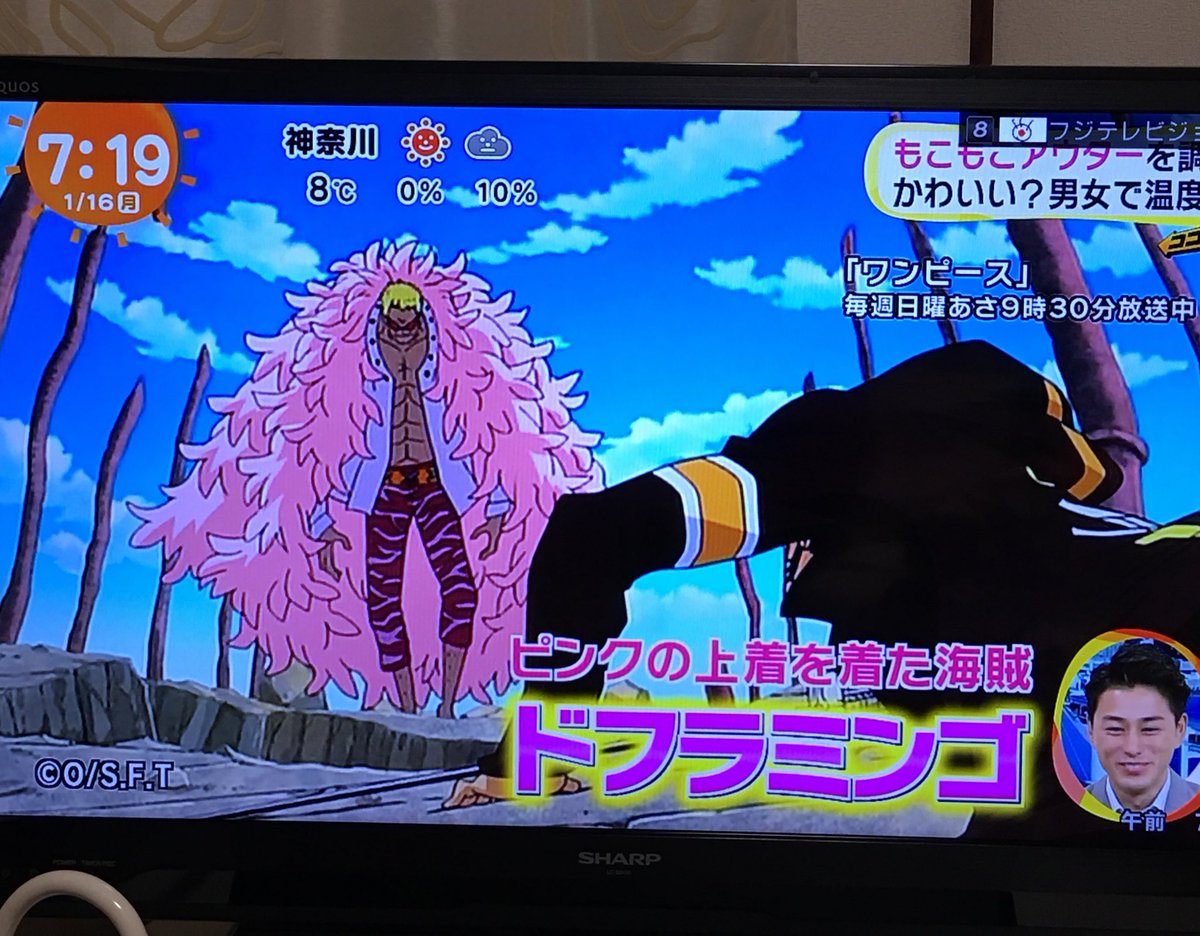 朗報 ドフラミンゴ系女子 流行る モル速 Morusoku 朗報 ドフラミンゴ系女子 流行る モル速 Morusoku