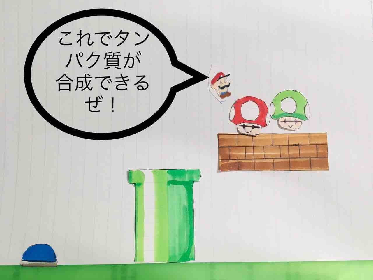 筋肉の天敵ミオスタチン イラストで簡単理解 内記渓人のイラストで理解するボディメイク 筋肉の天敵ミオスタチン イラストで簡単理解 内記渓人のイラストで理解するボディメイク