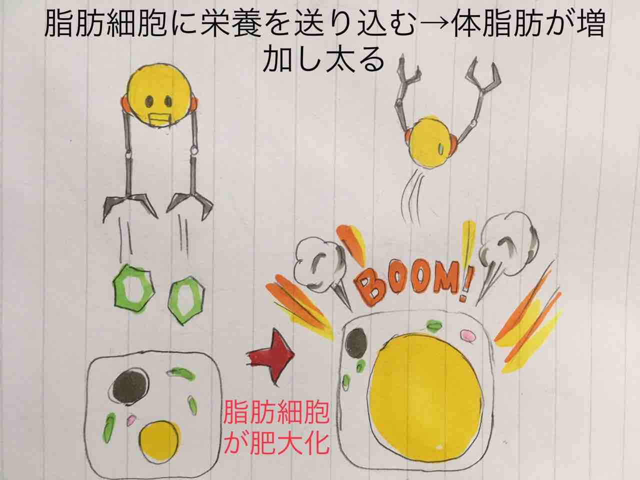 19年03月29日 内記渓人のイラストで理解するボディメイク
