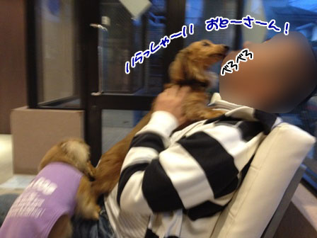 IMG_0722_20120428003746.jpg