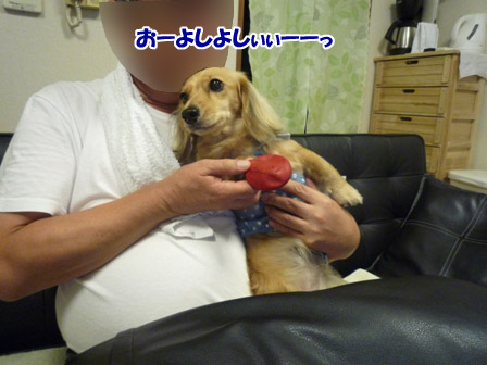 015_20120807223833.jpg