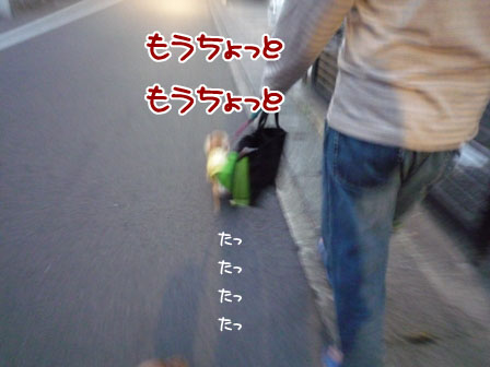 002_20111003224146.jpg