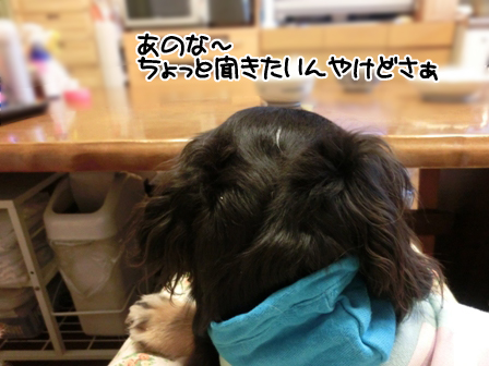 005_201503272113252ee.jpg