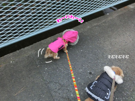 014_2013112923200466a.jpg