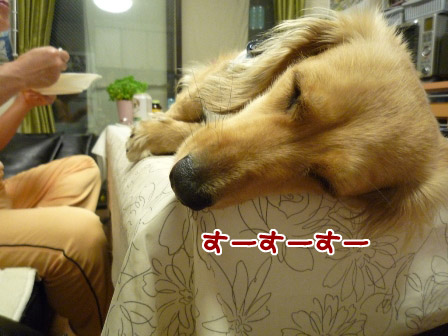 037_20120528215950.jpg