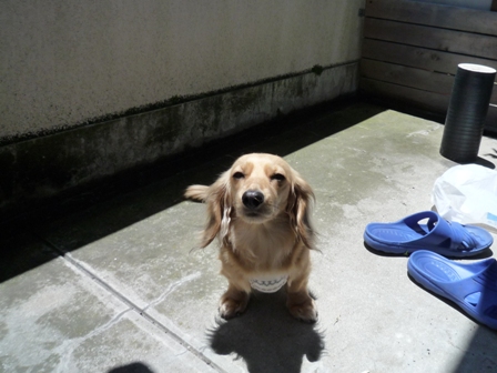 004_20110530231015.jpg