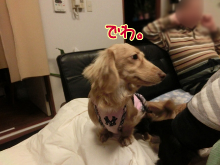 012_2014032623055589f.jpg