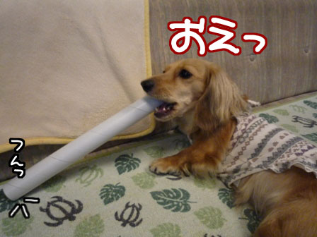 020_20110706225137.jpg
