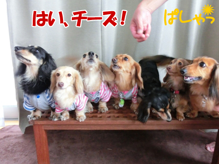 2016061308.jpg