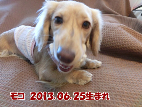 プロフィール07