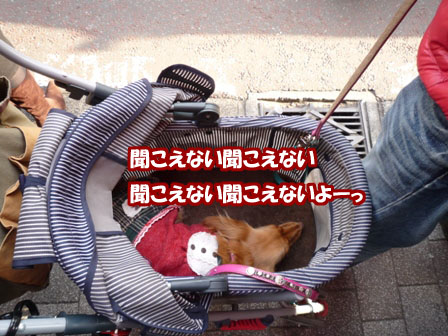 112.jpg