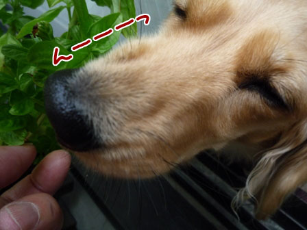 011_20111024232515.jpg