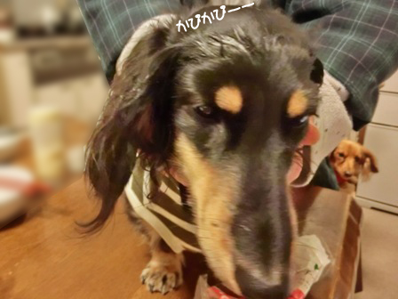 201512026.jpg