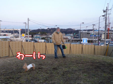 007_20110216231057.jpg
