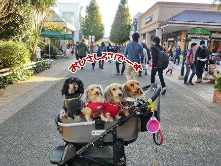 201512061.jpg