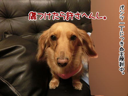 025_20130524004755.jpg
