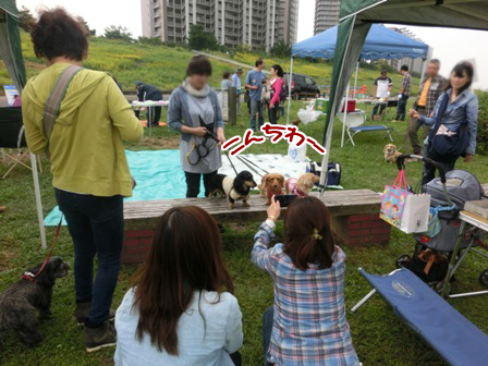 20151011005.jpg