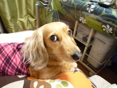006_20110429221520.jpg
