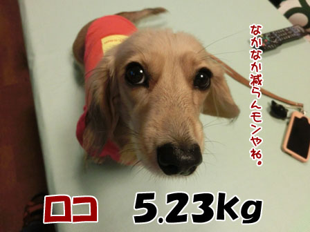 013_201310252306376de.jpg